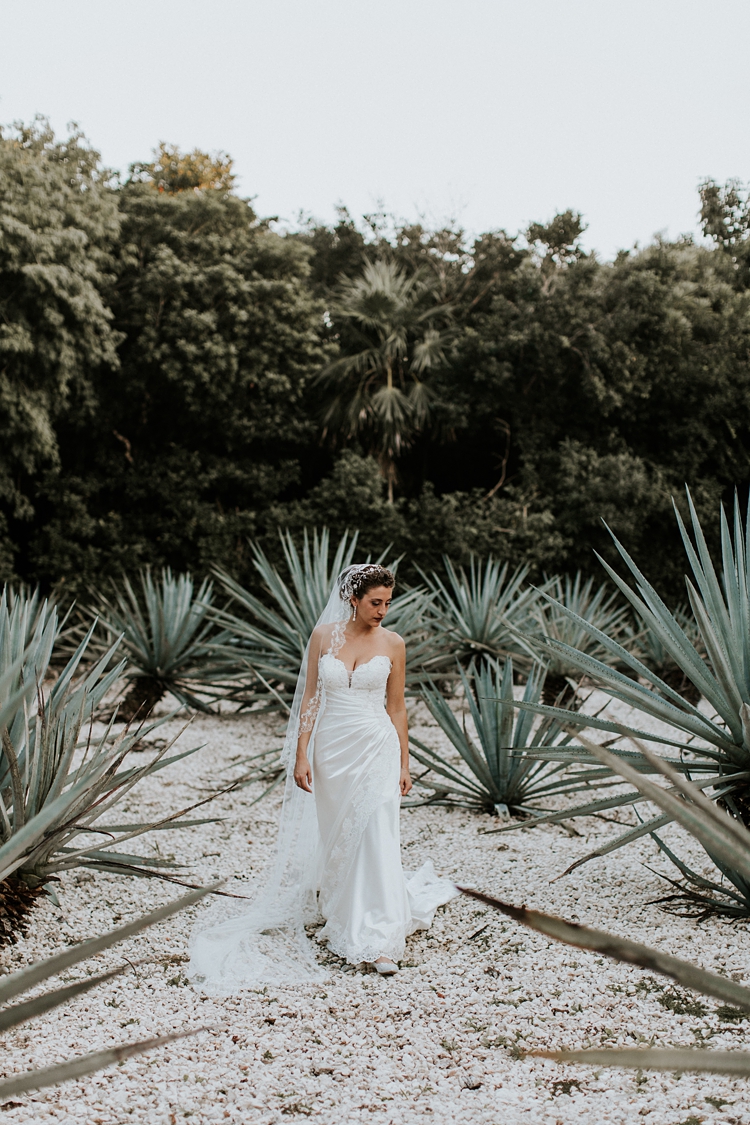 Bride walks through tequila field in Grand Palladium Colonial Resort